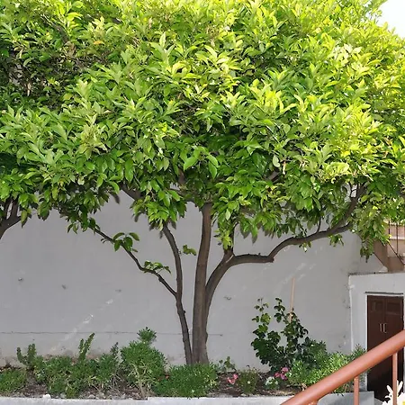 Apartments Marjan アパート